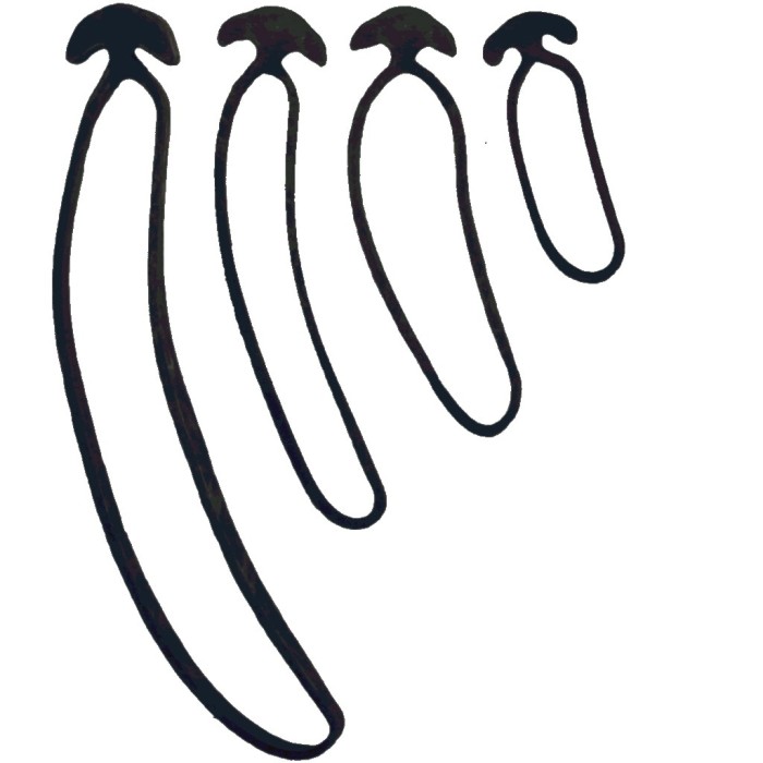 Λάστιχα συγκράτησης δενδροκομίας BANDOFIX - 10cm